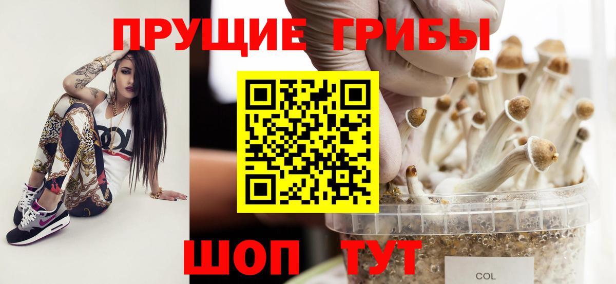 Псилоцибиновые грибы ЛСД  Галлюциногенные грибы мухоморы  что такое наркотик  Вход с VPN  Прокопьевск 